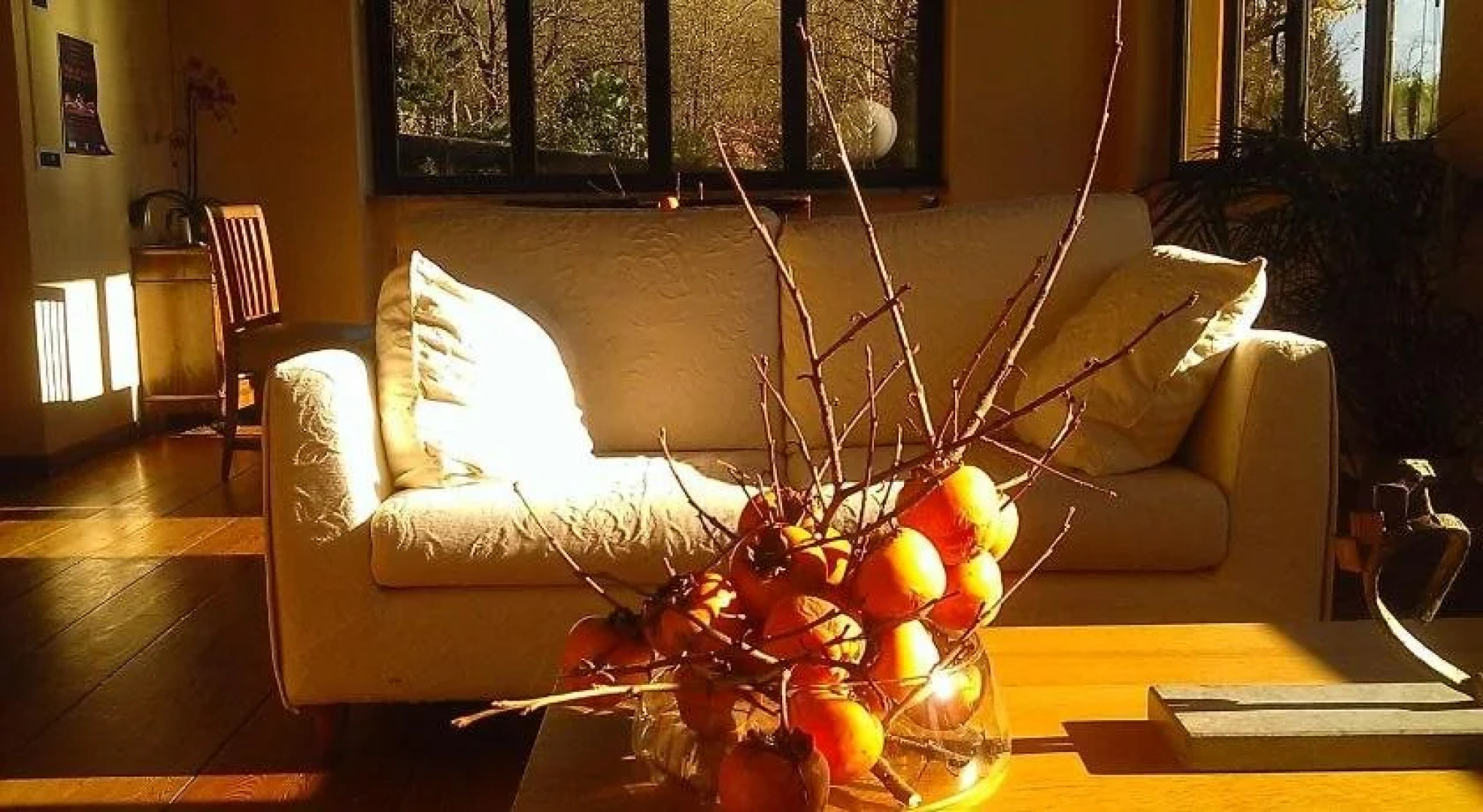 B&B Le Oche di Bracchio