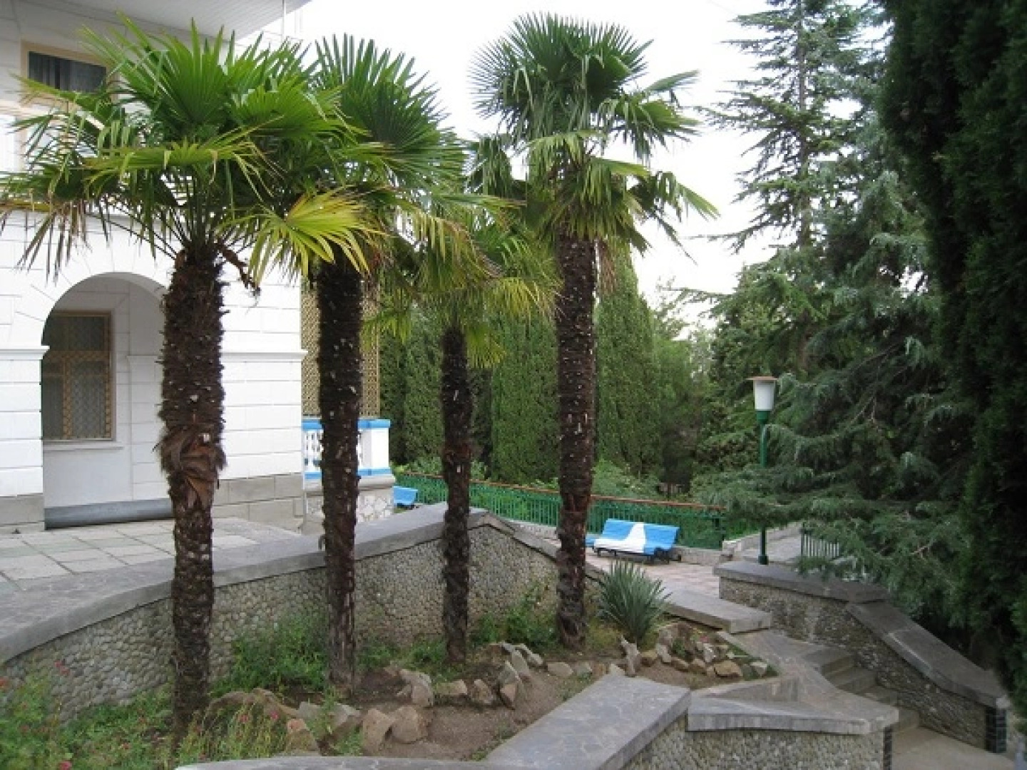 Professorskiy Ugolok Sanatorium