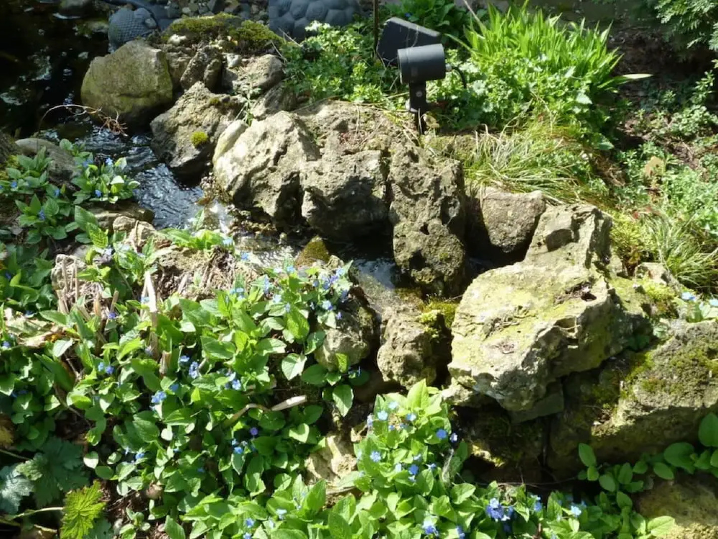 Am Rosengarten Comfortable Holiday Residence