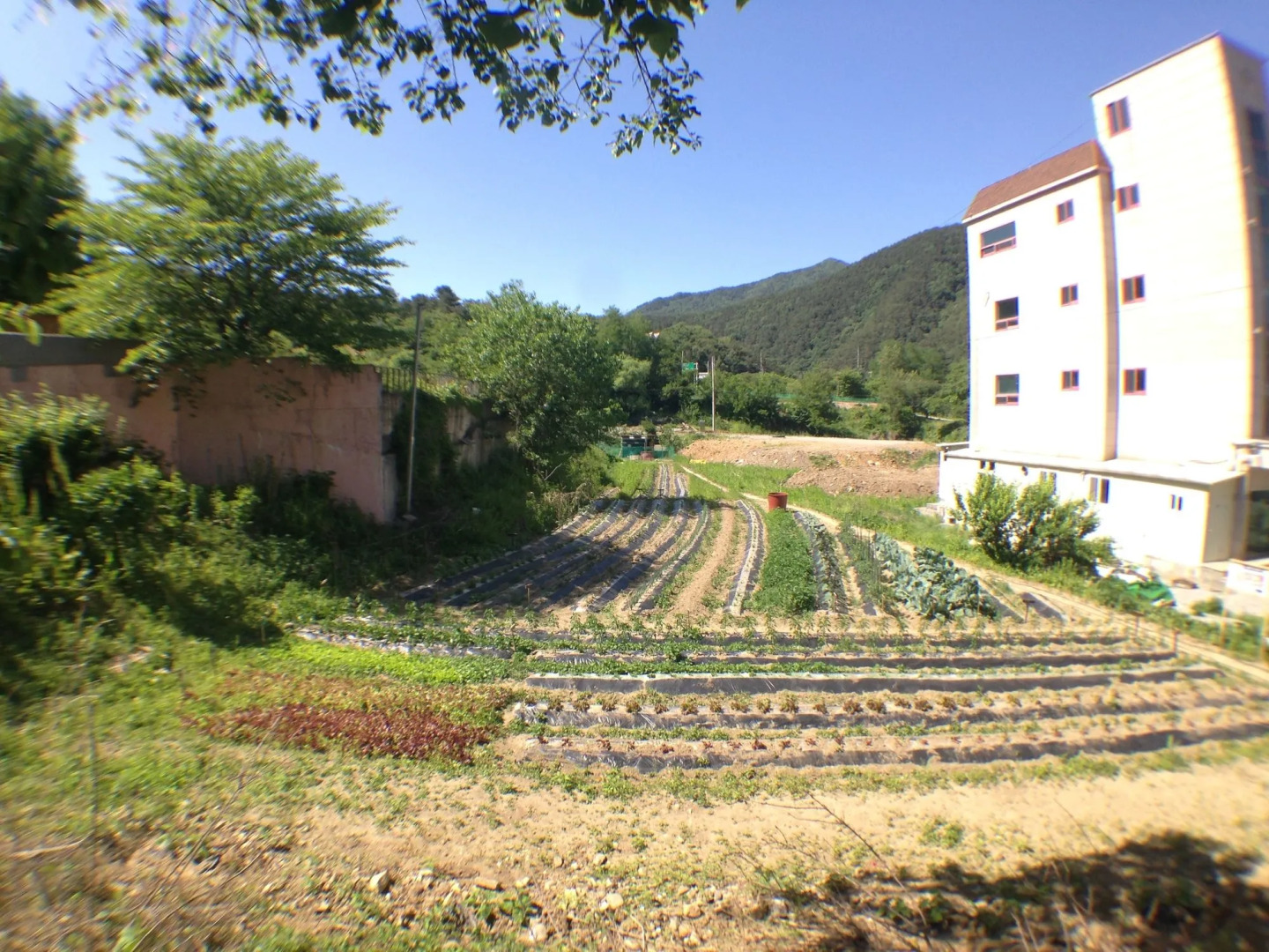 Suanbo Saipan Hot Spring Hotel
