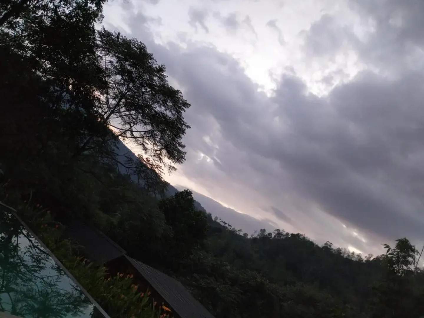 Sinharaja Forest Gate