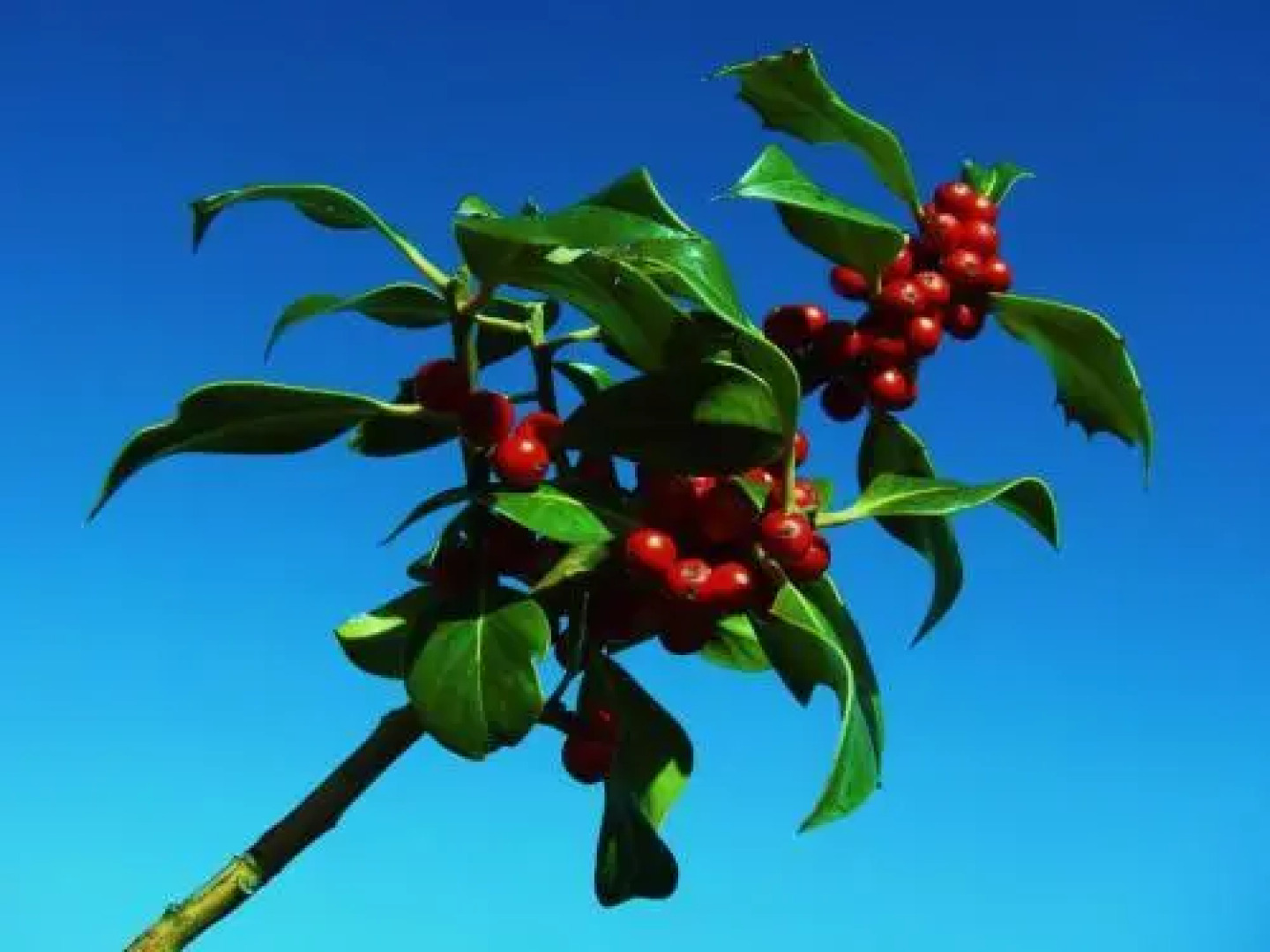 Apartamentos Casa Modesto