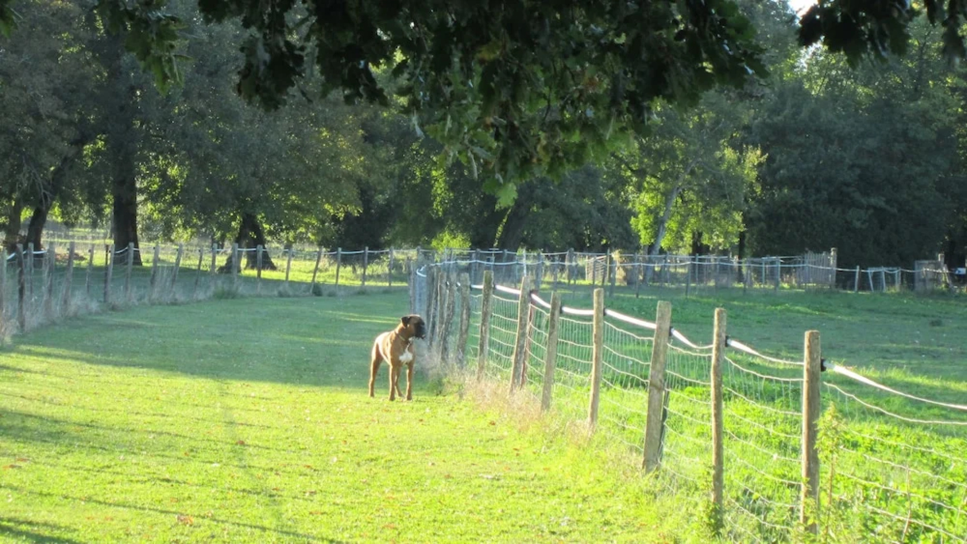 Chambres d'Hôtes Le Clos de la Garenne