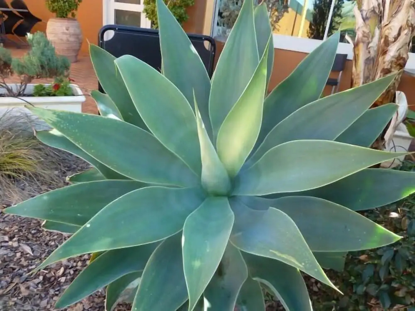 The Miners Rest Motel