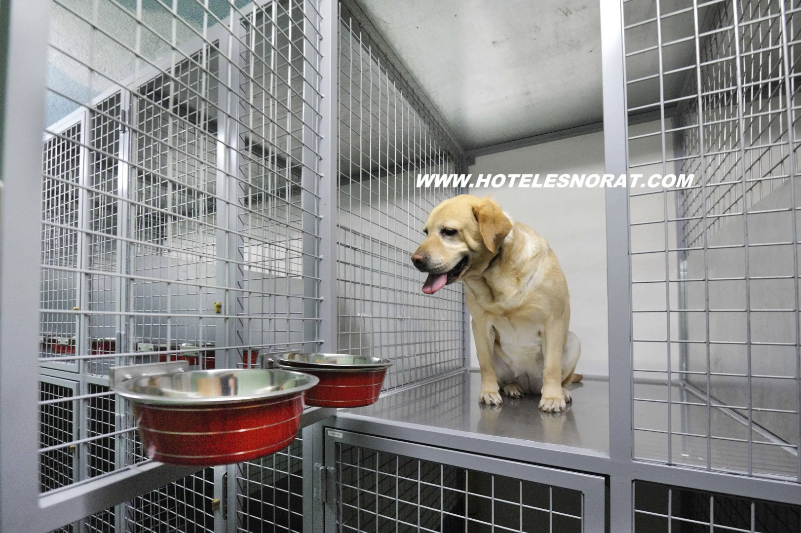 Hotel Spa Norat O Grove