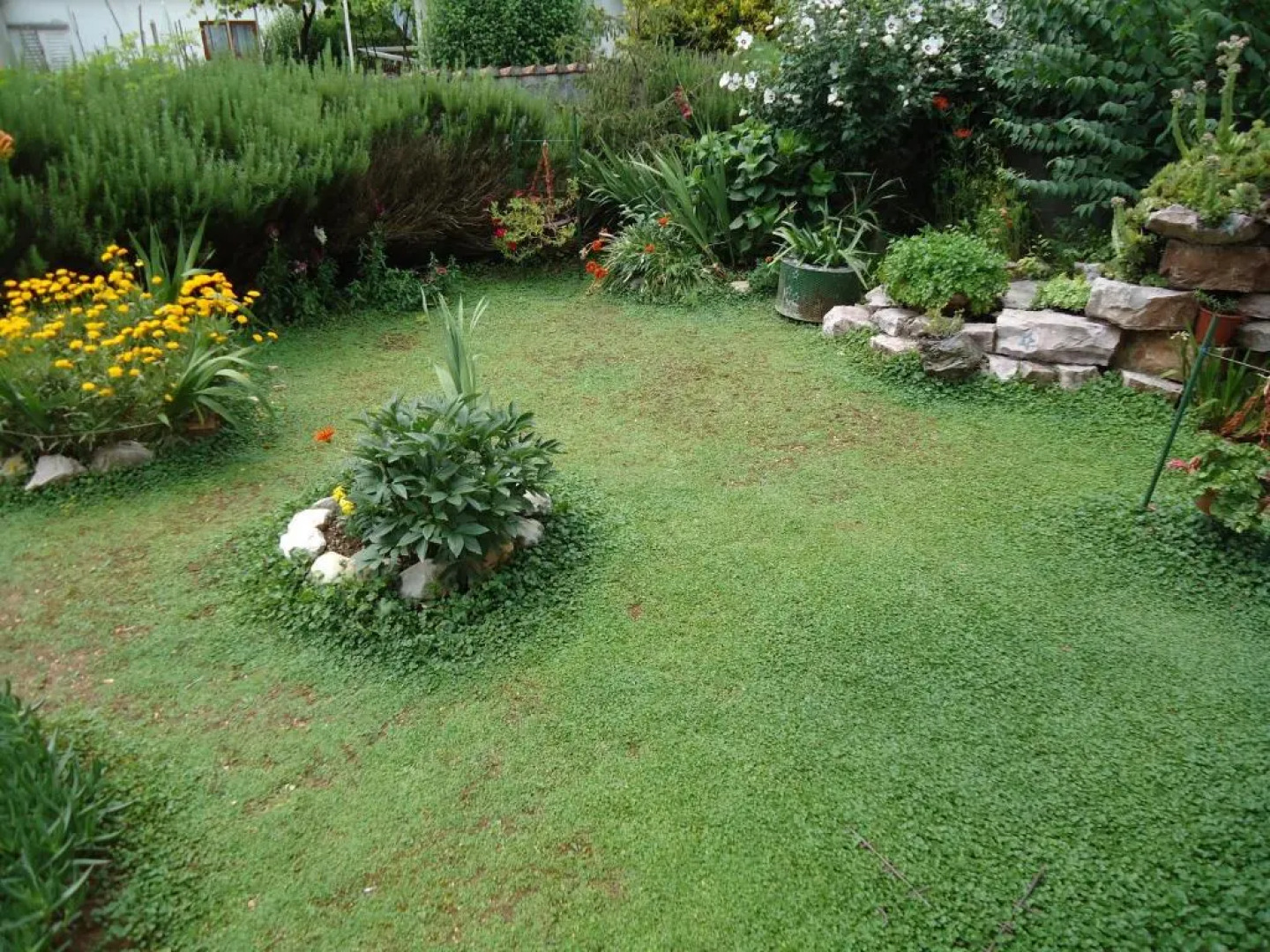 Nada Jablans Studios