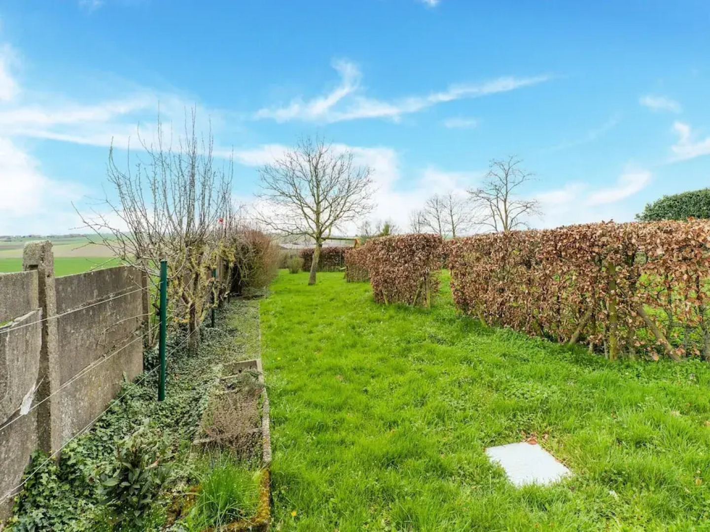 Pet-friendly Retreat