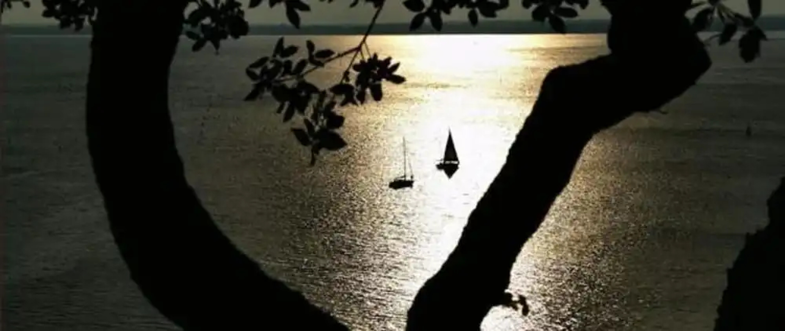 Residence Oliveto Mare Carso