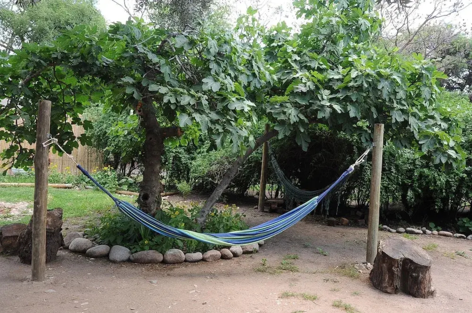 Hostel Jaracanda