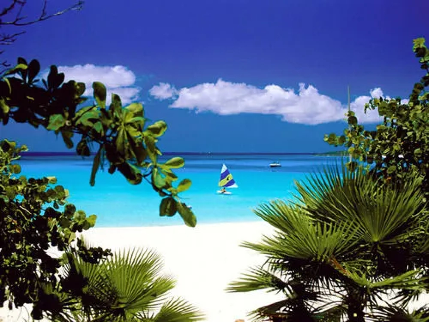 Island Beach Comber