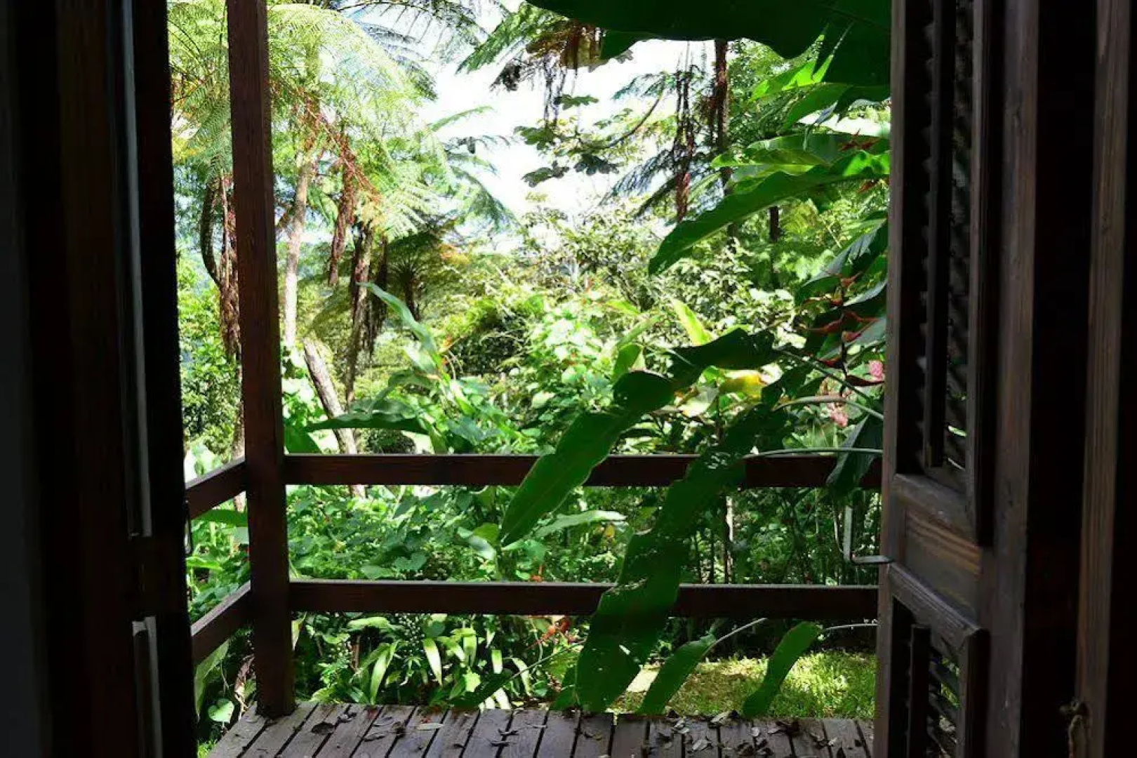 El Hotelito at The Rainforest Experience Farm