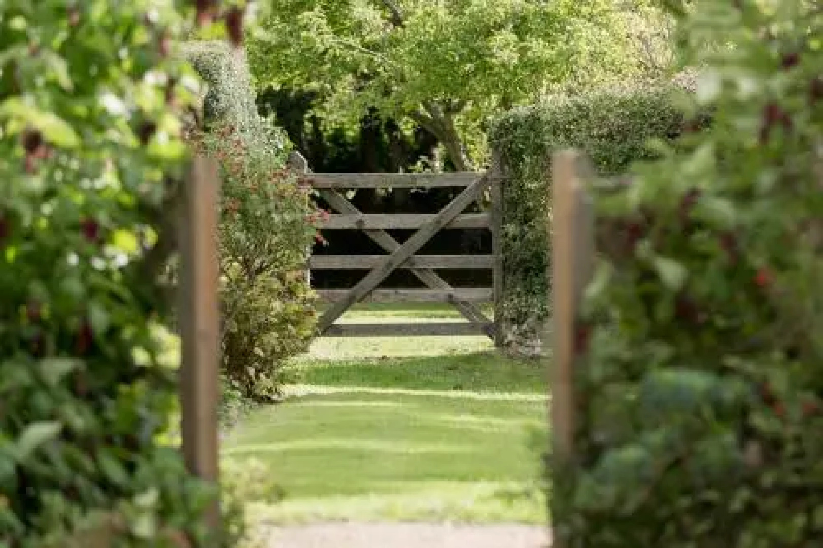 The Pines At Eastleigh