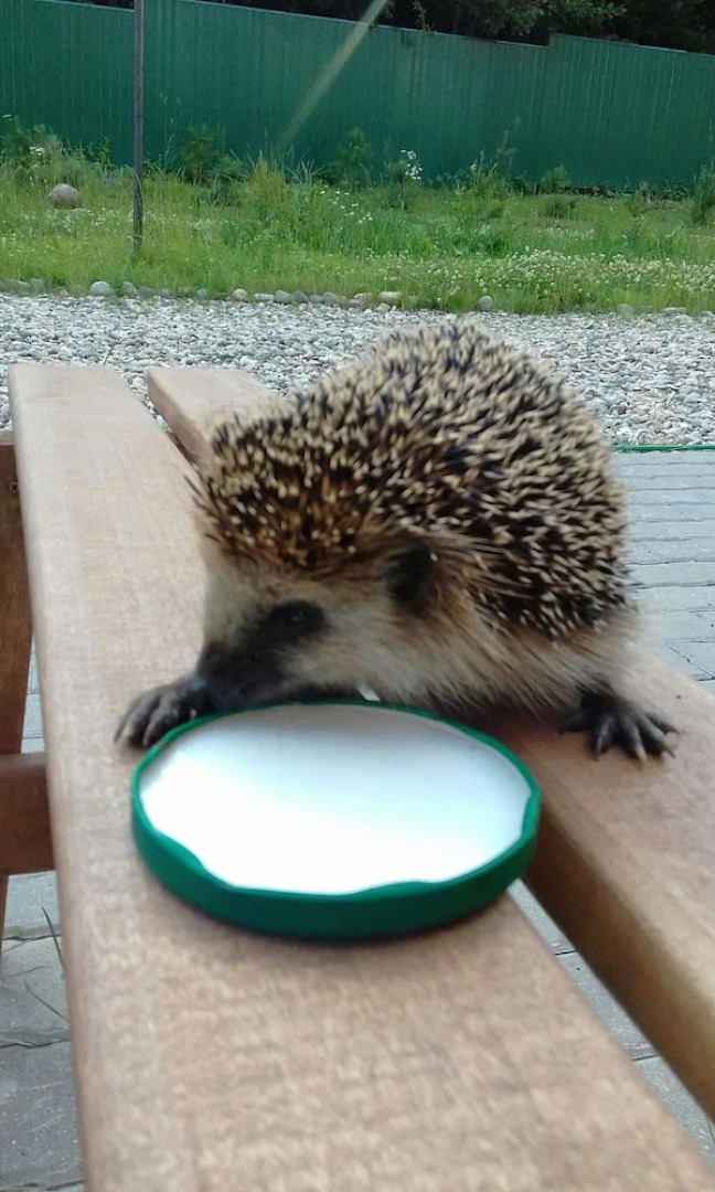 Park-Hotel Diyevo Gorodishche