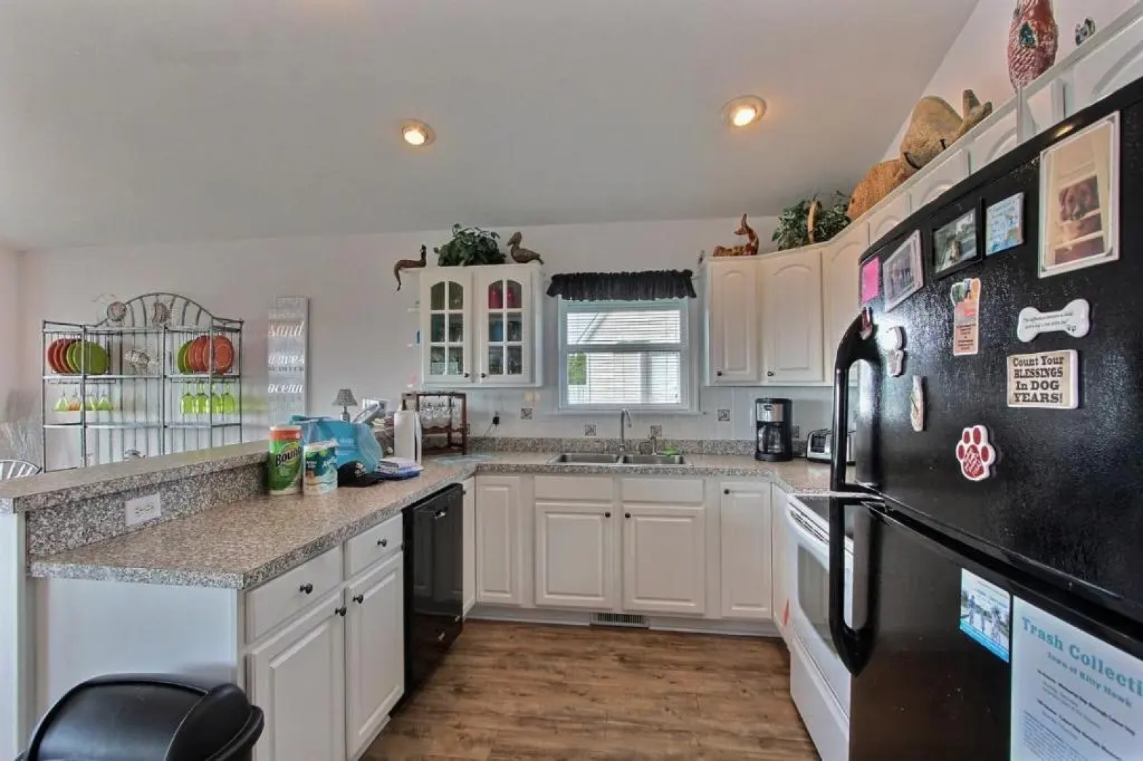 4040 - Paws at the Beach