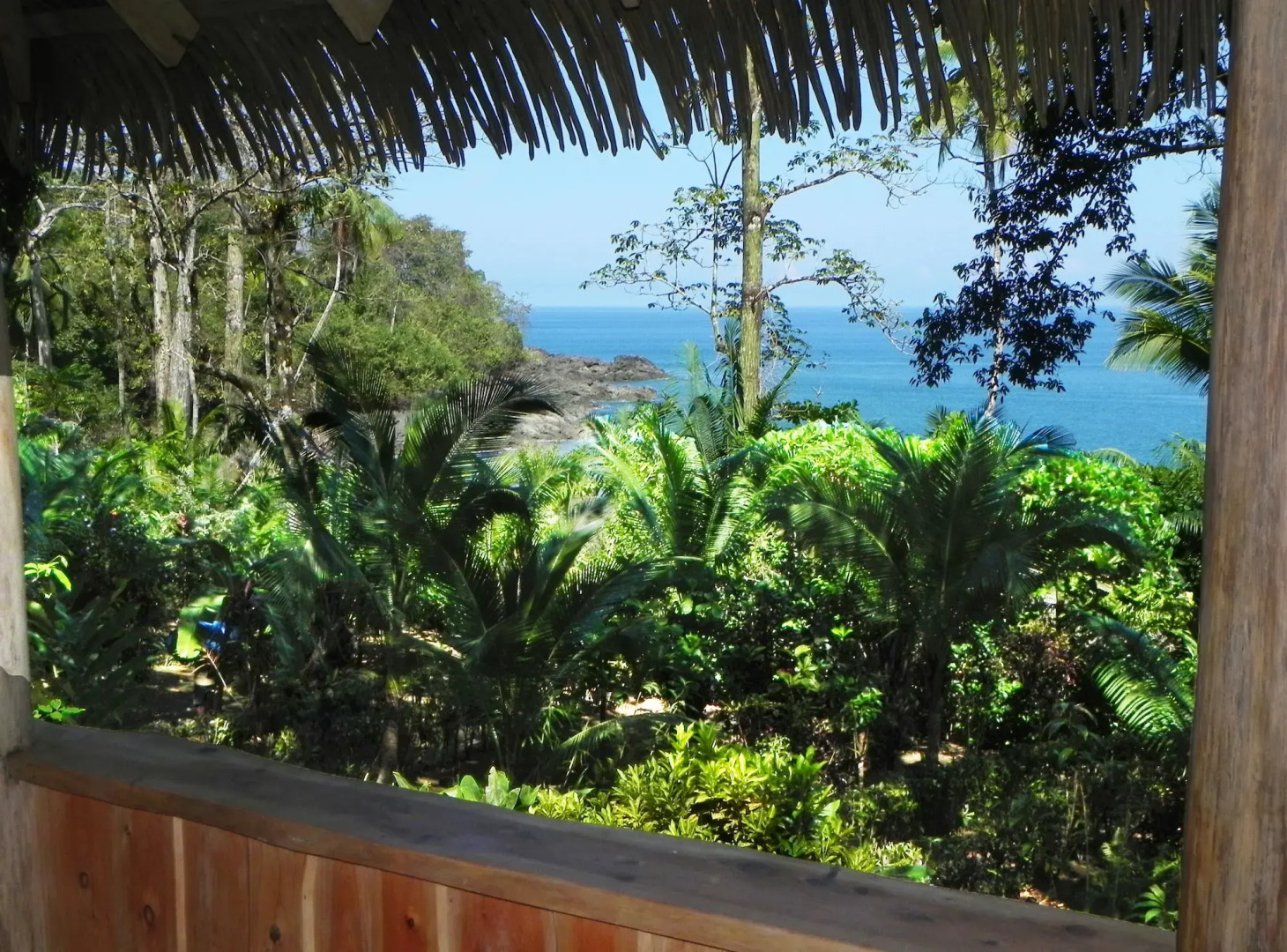 Copa De Arbol Beach & Rainforest Resort