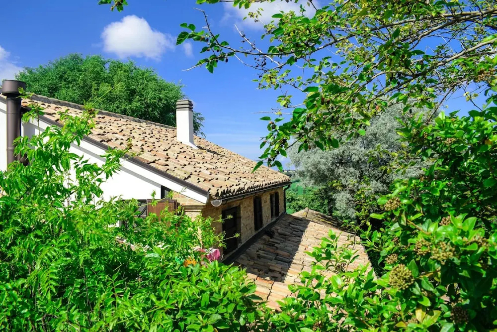 Studio in Castel Colonna, With Pool Access and Enclosed Garden