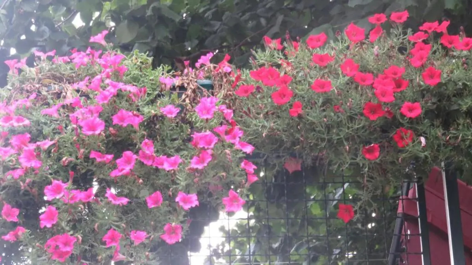 Guest House Pavlovic