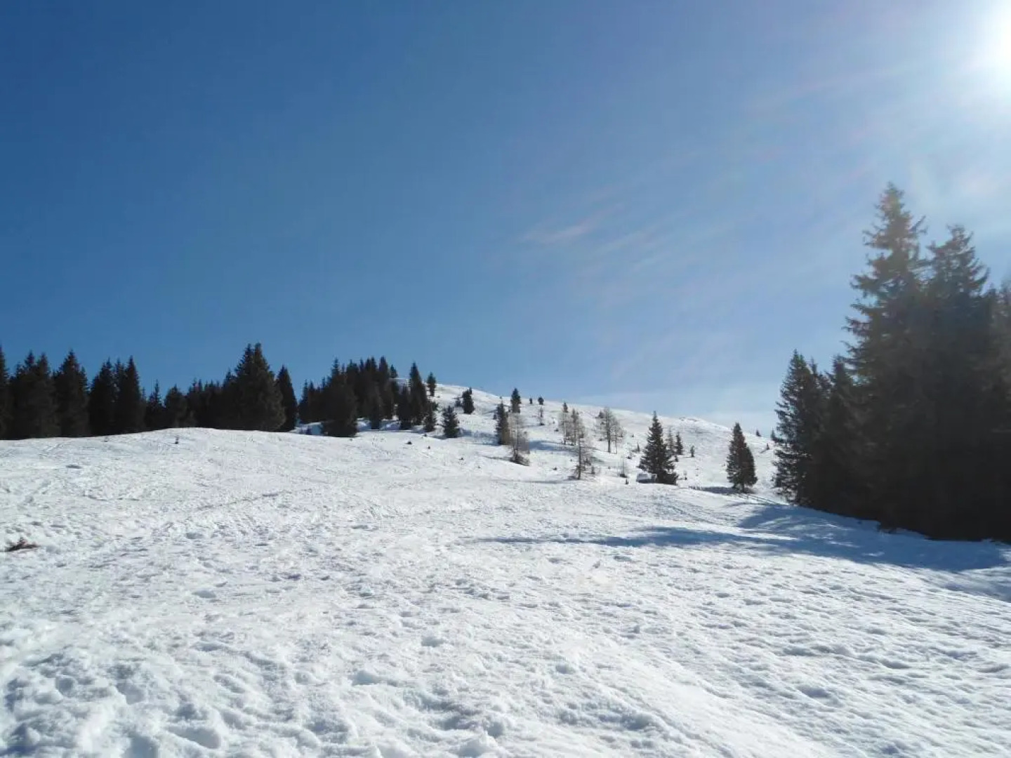 Appartamenti Patrizia