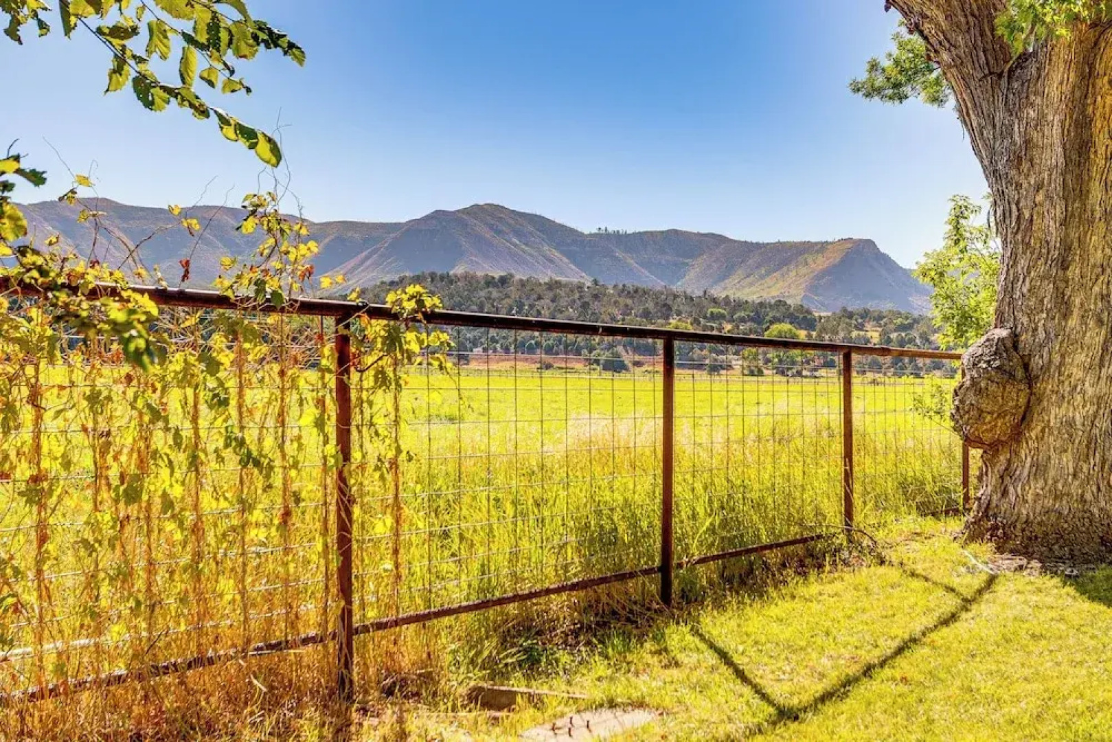 Patio & Mountain Views: Farmhouse in Mancos!