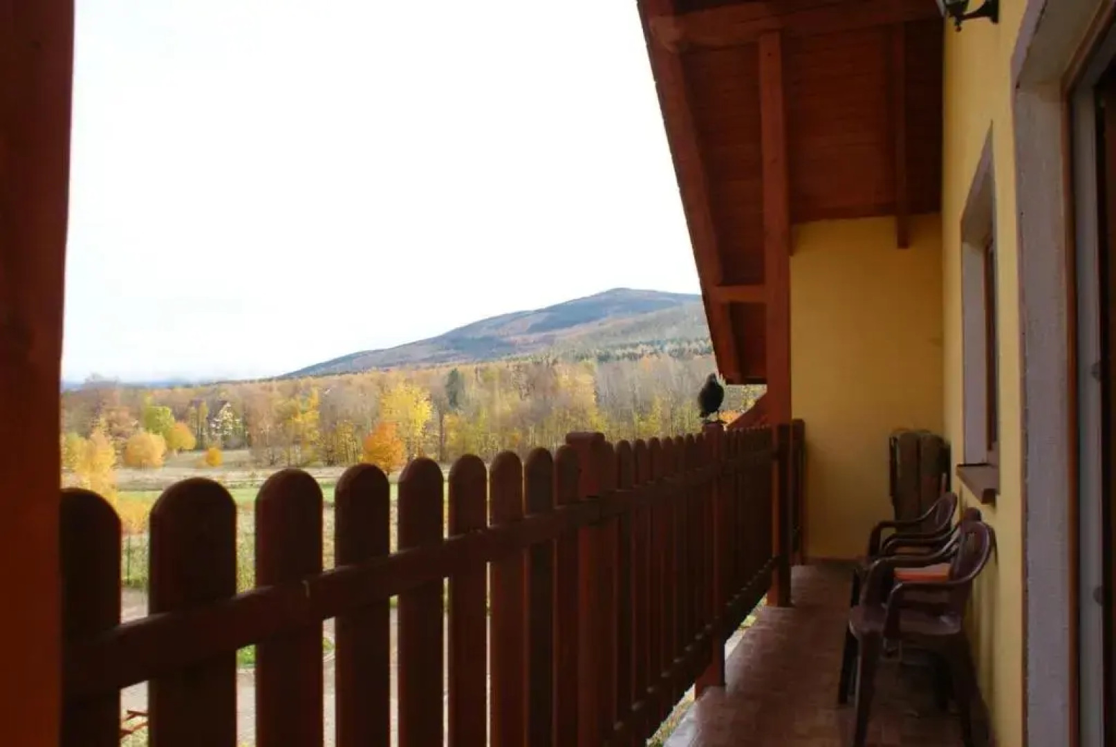 Wynajem Pokoi Willa Pod Lasem