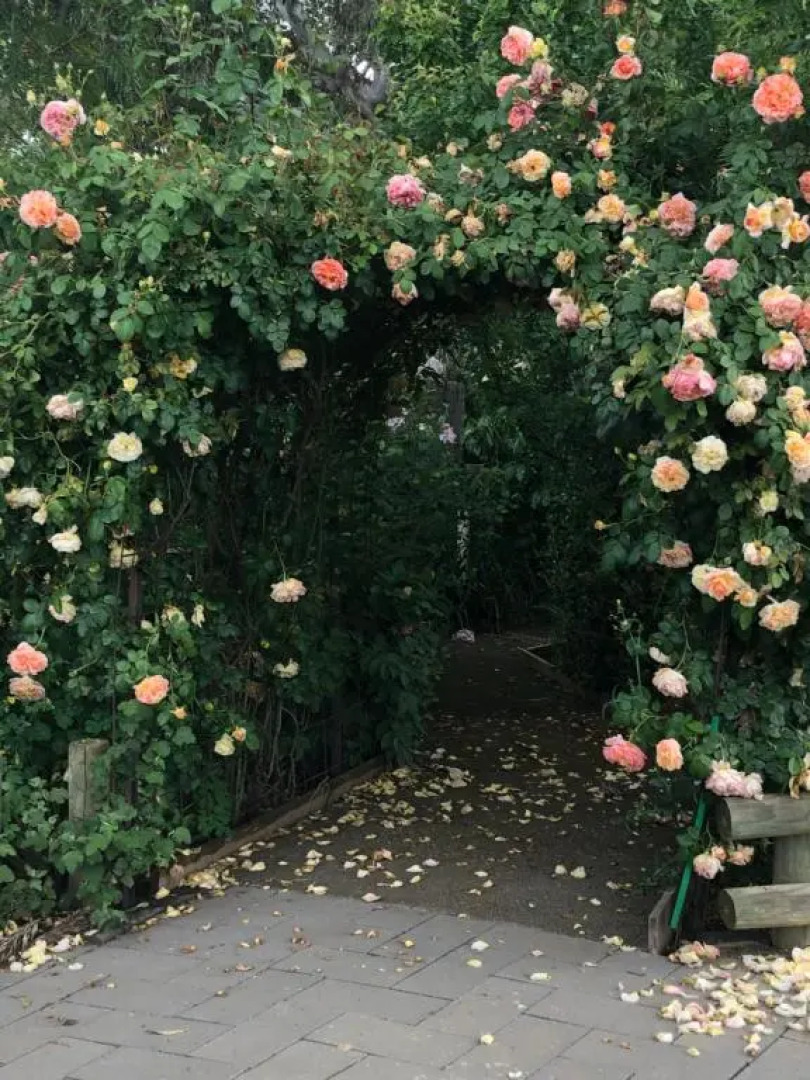 Barklysuites Apartments