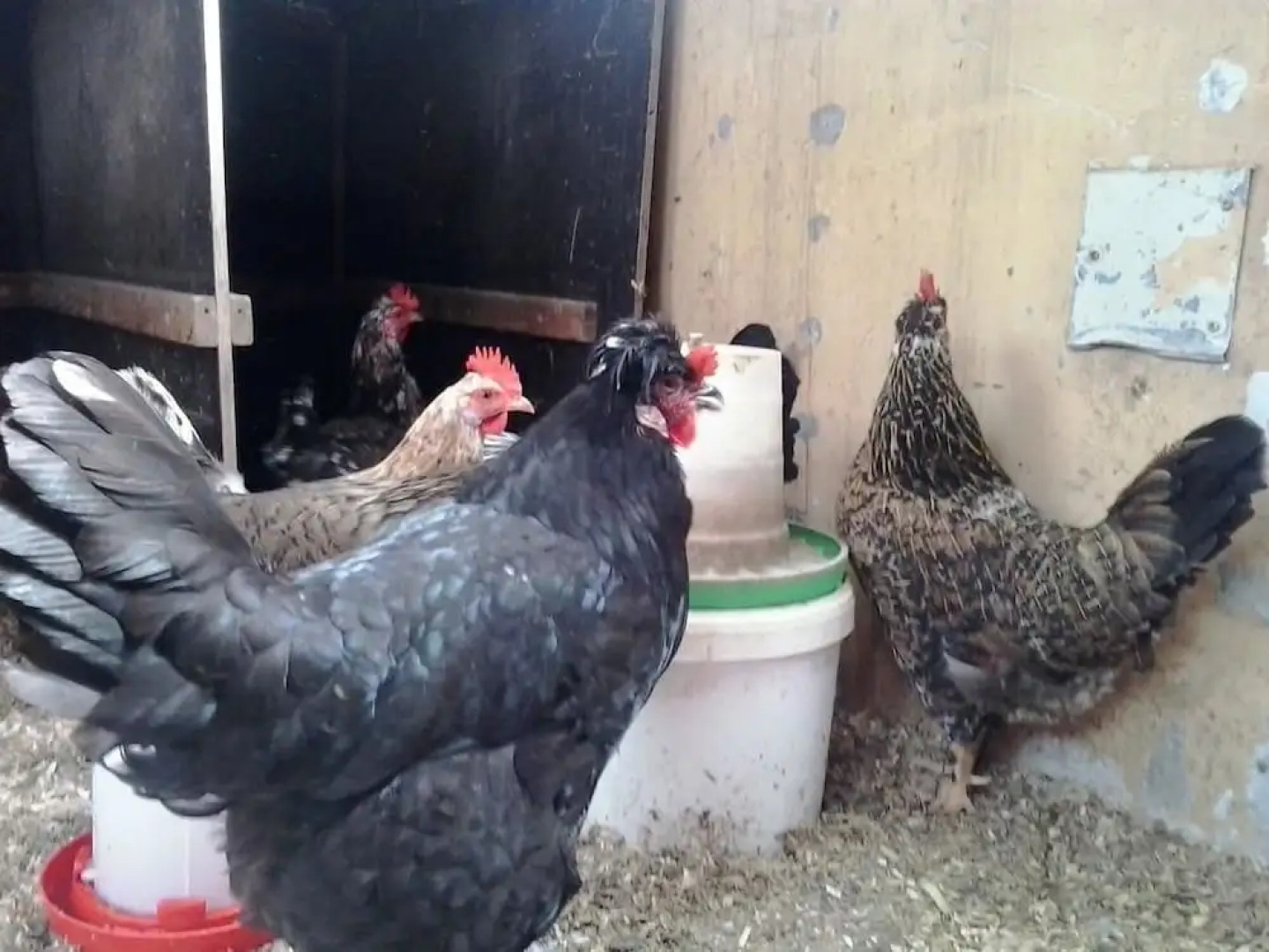 Dalssel Farm Guesthouse