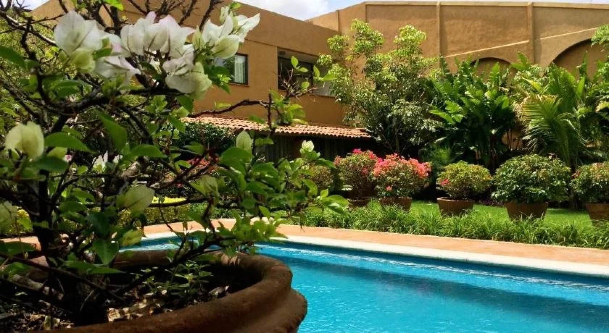 Orchidelirium Casa Hotel & Salud Estetica