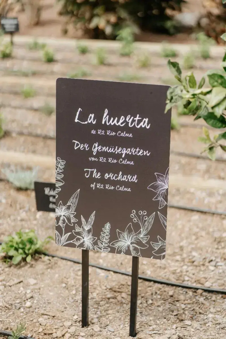 Hotel R2 Río Calma Spa Wellness & Conference