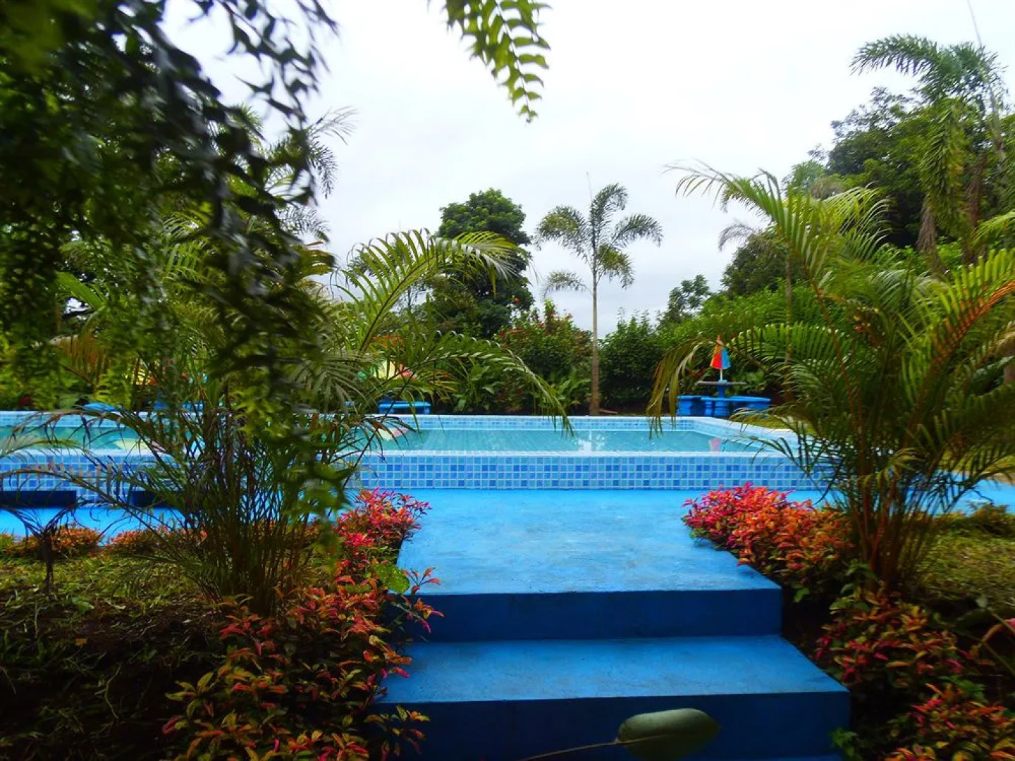 Hotel Heliconias Nature Inn & Hot Springs