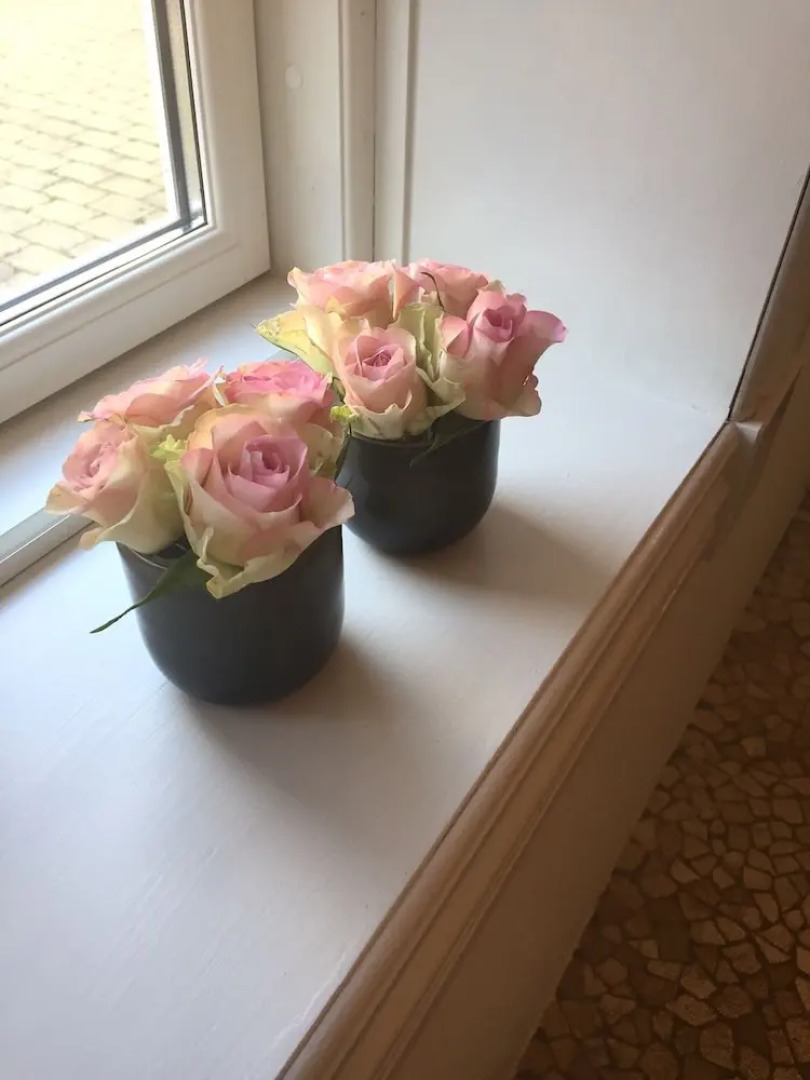 Alsbrogaard Deluxe Bed & Breakfast