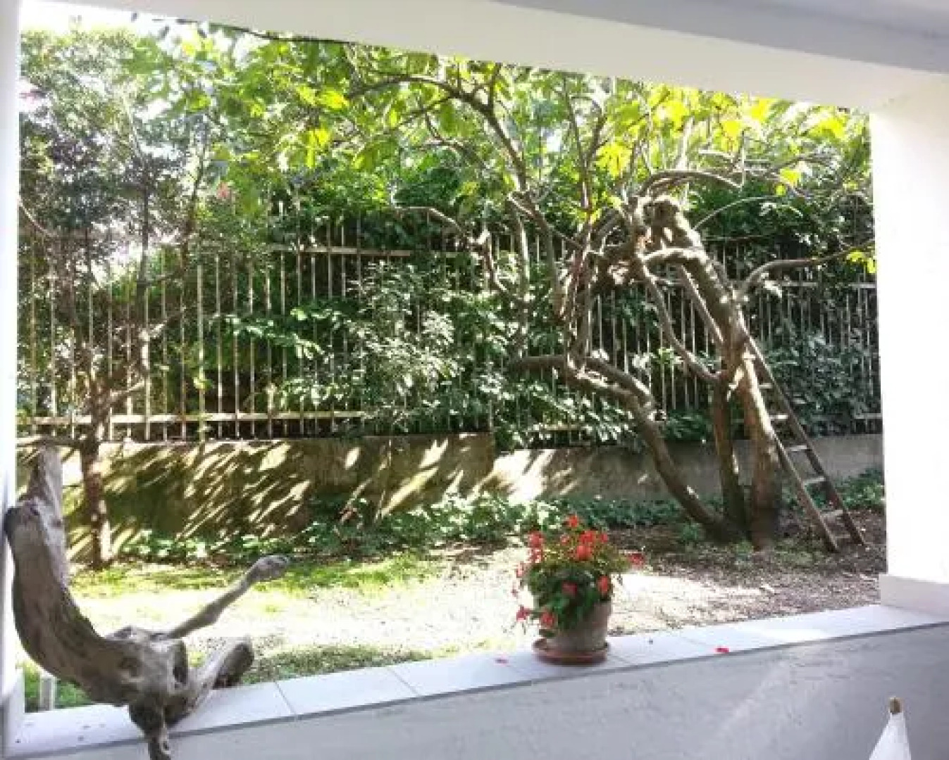 Santa Caterina Apartment