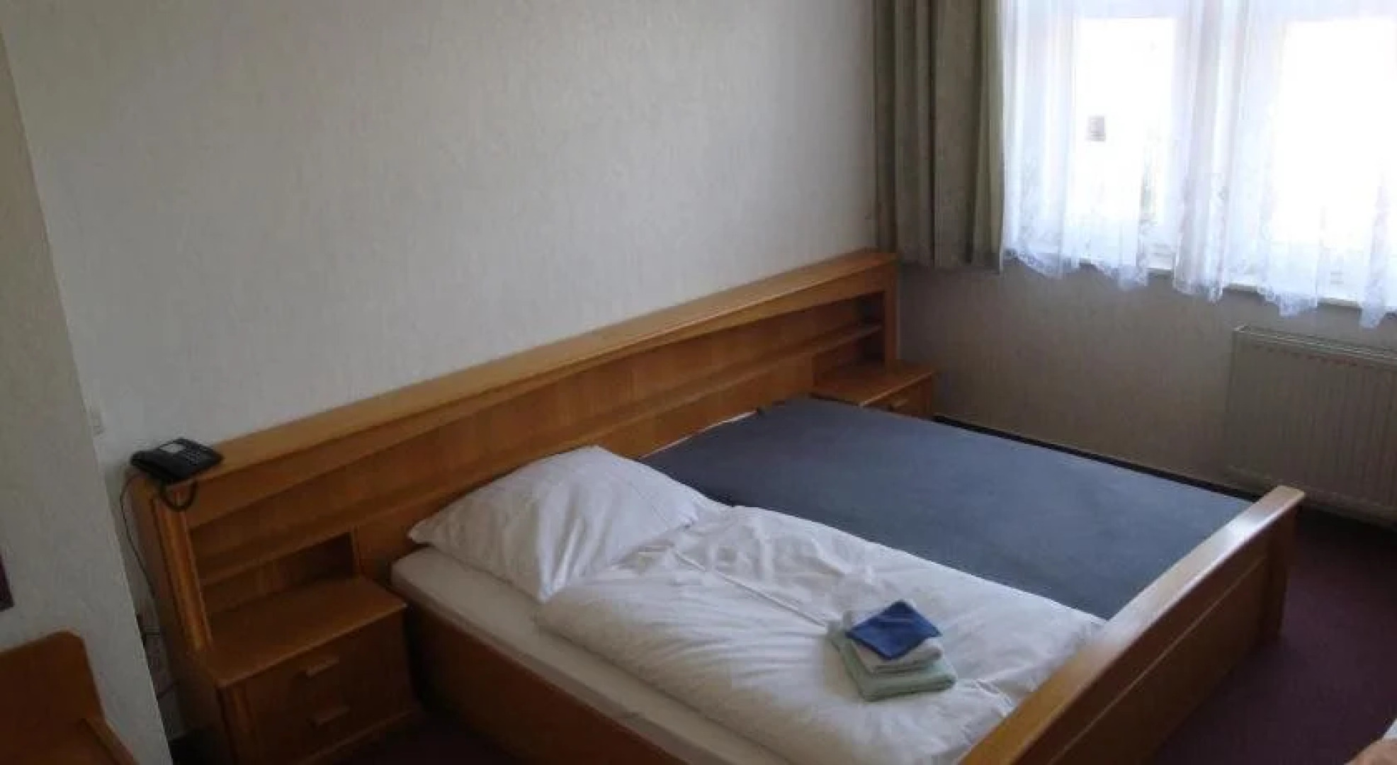 Goldener Löwe Triebes