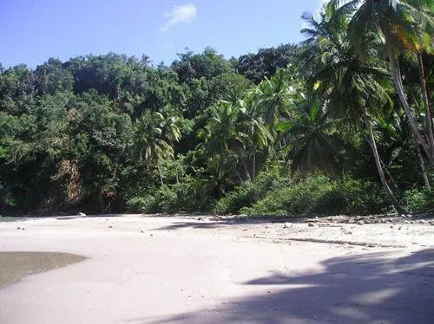 Dominica's Sea View Apartment