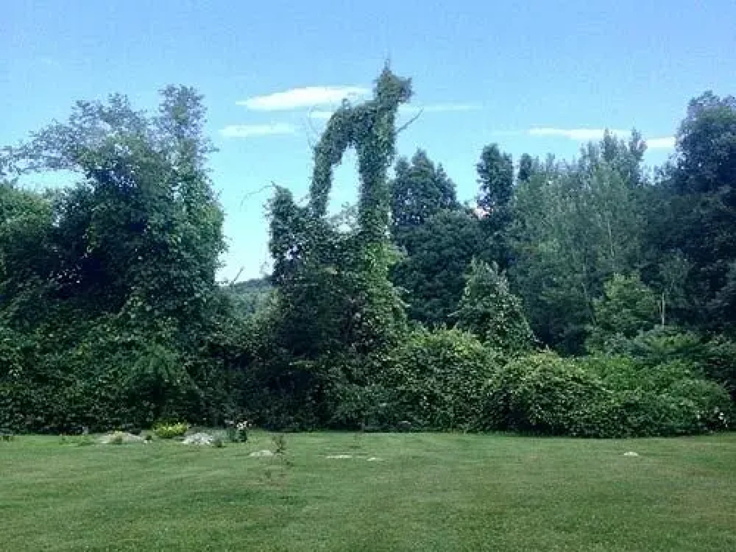 Sams Cottage on the Greens