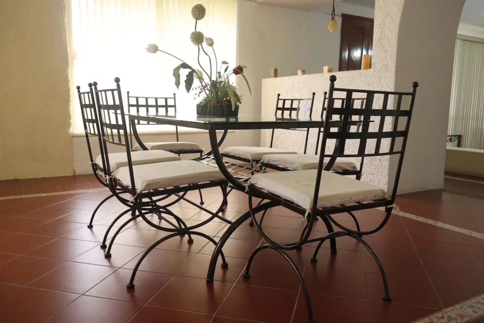 House of Ficus Banderilla,veracruz-mexico