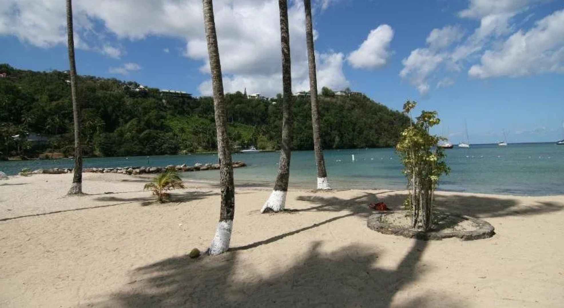 Mango Beach Inn