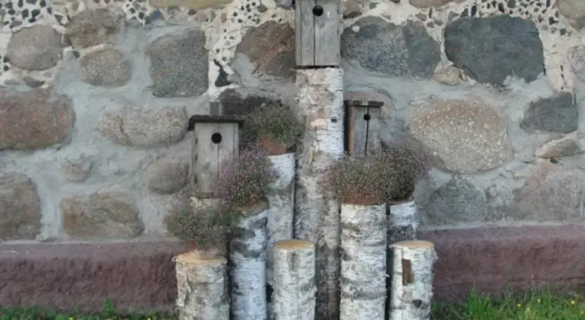 Linkas Dīķi