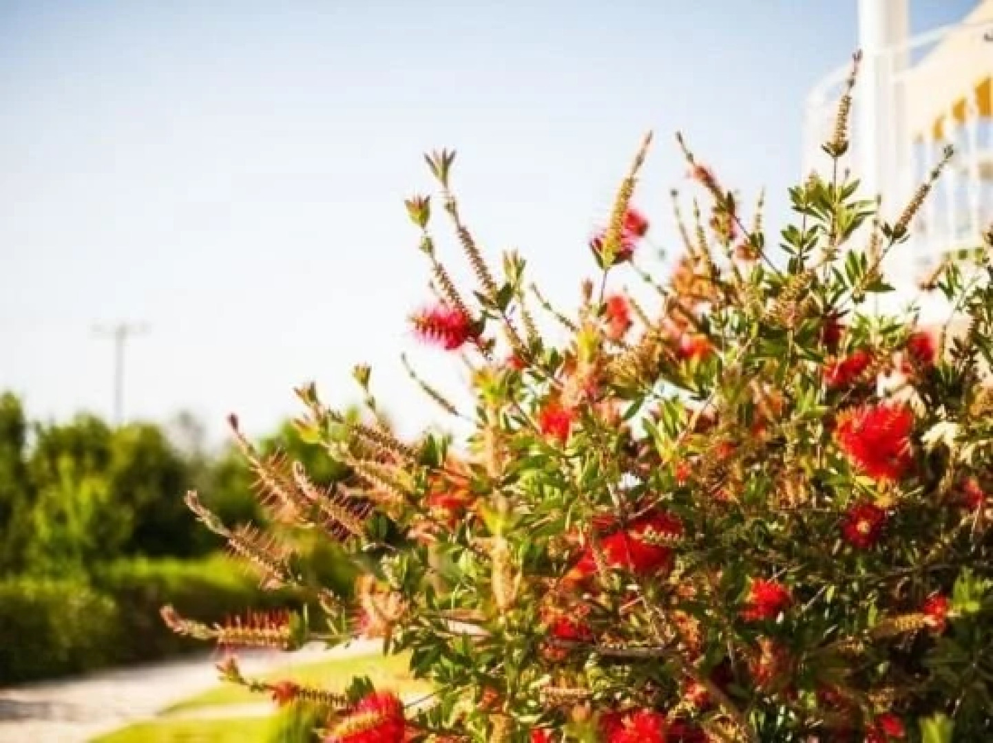 Villa Jolie Corfu Roda