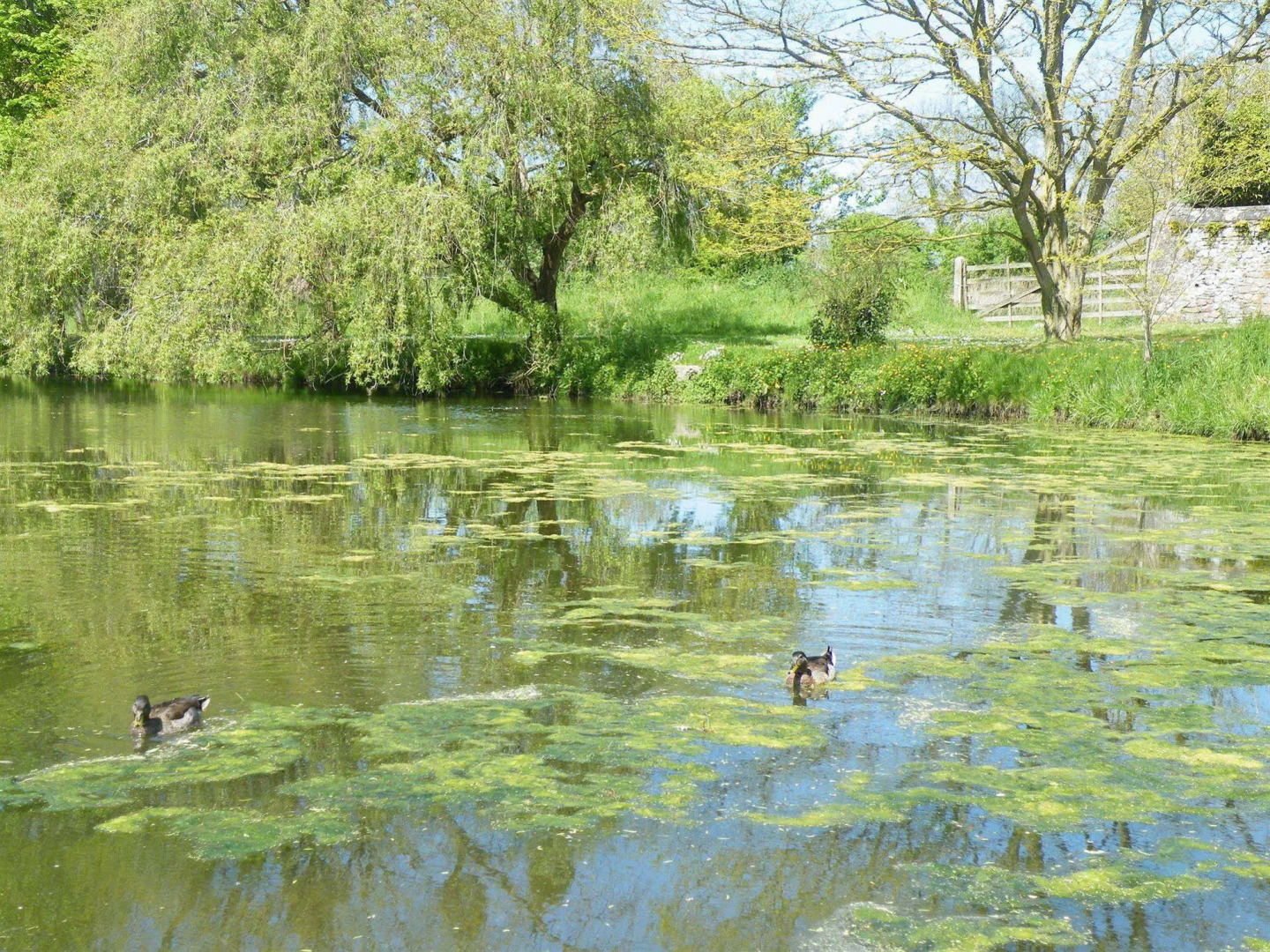 Demeures & Châteaux La Ferme des Mares