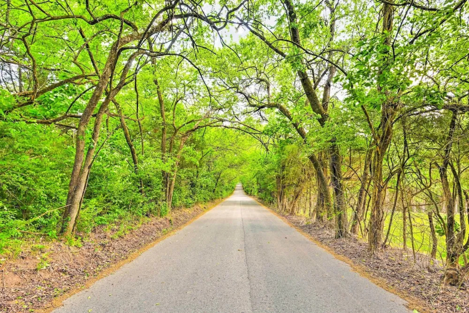 Stylish Franklin Cabin on 6 Private Acres!