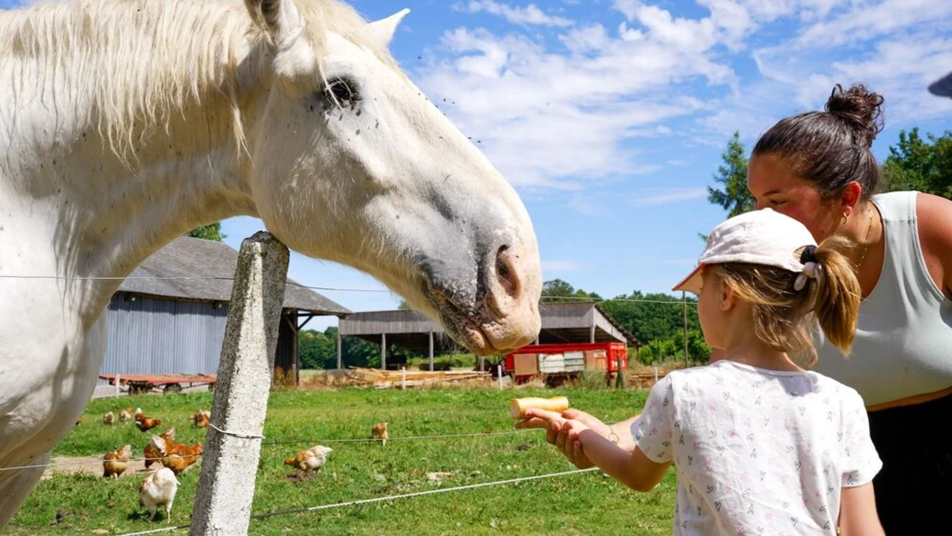 VVF Normandie Veules-les-Roses