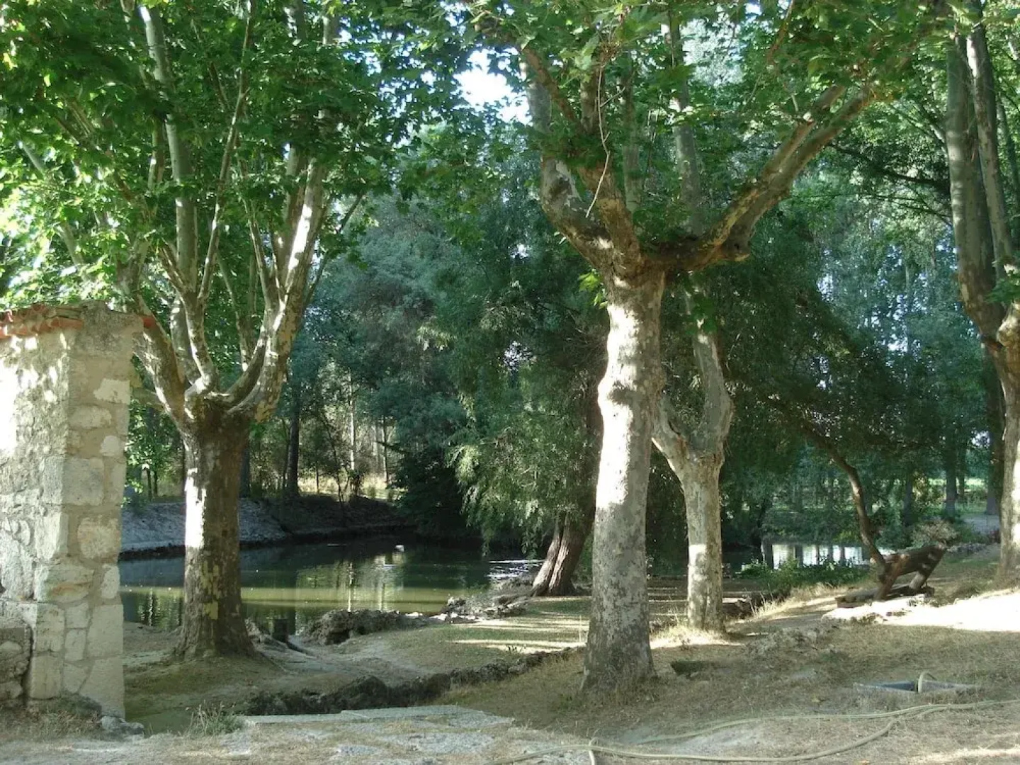 El Rincon del Labrador