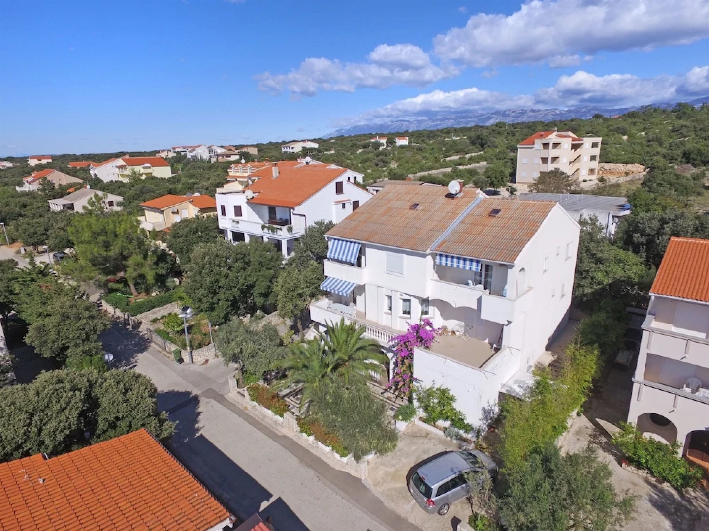 Apartments Gligora
