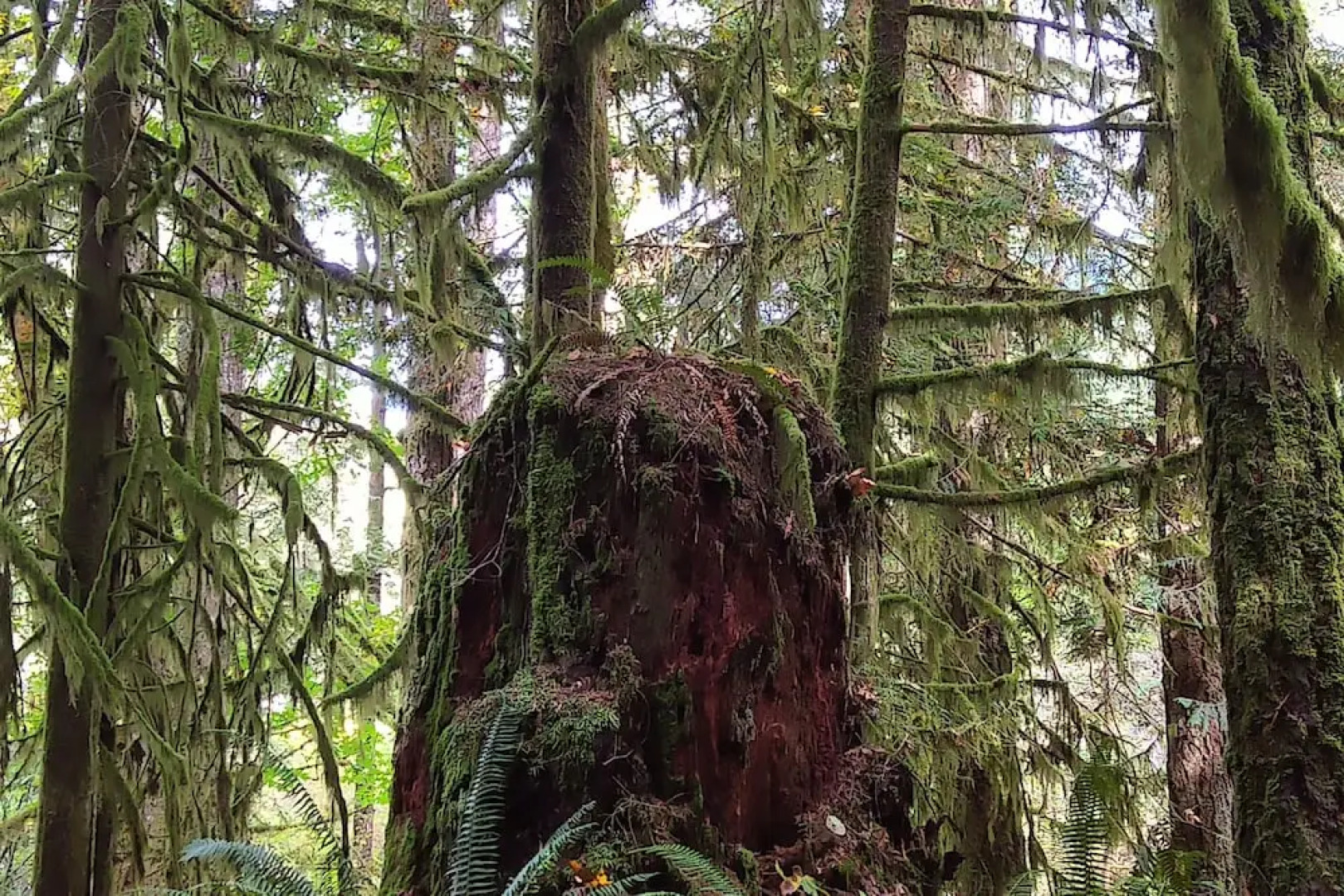 The Perch at Moon Dance