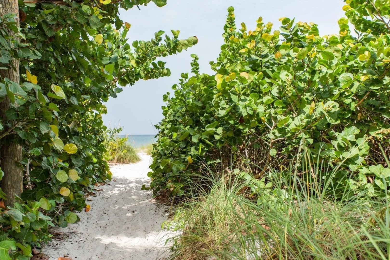 Pesaro Vacation Rental in the Moorings