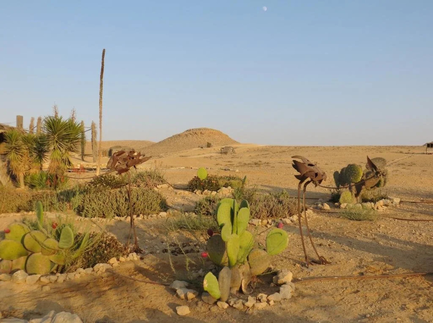 Succah in the Desert