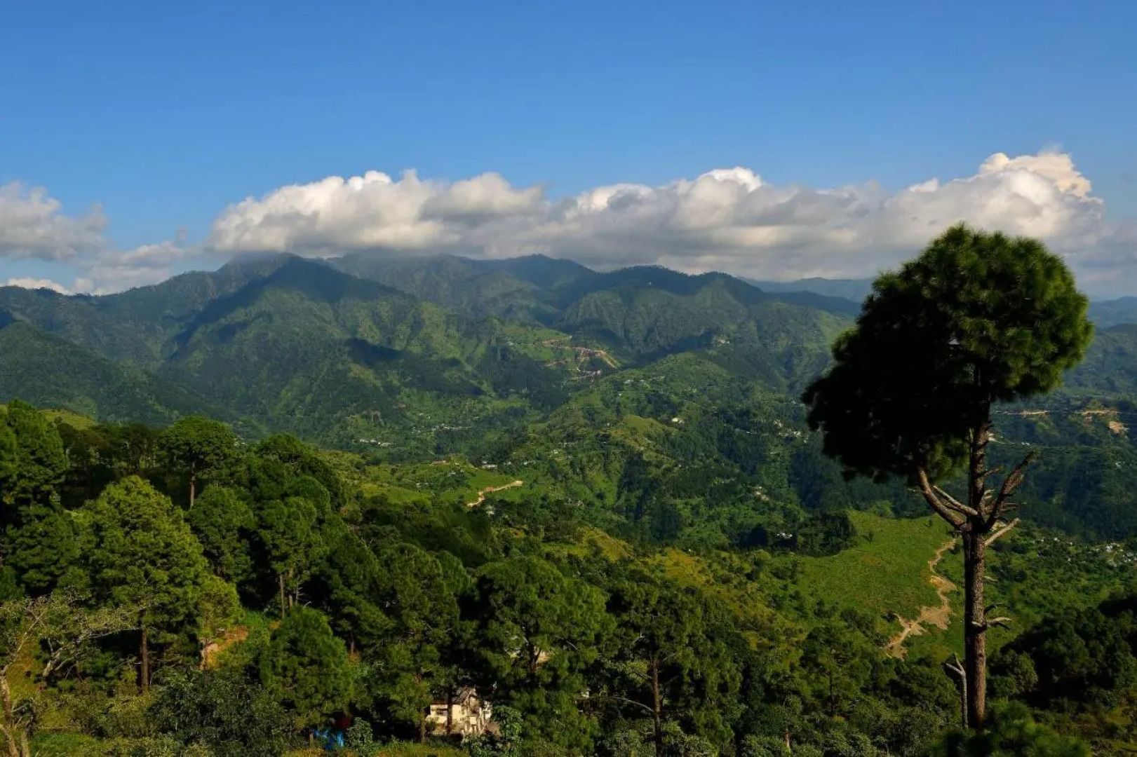 Peaks And Pines Resort