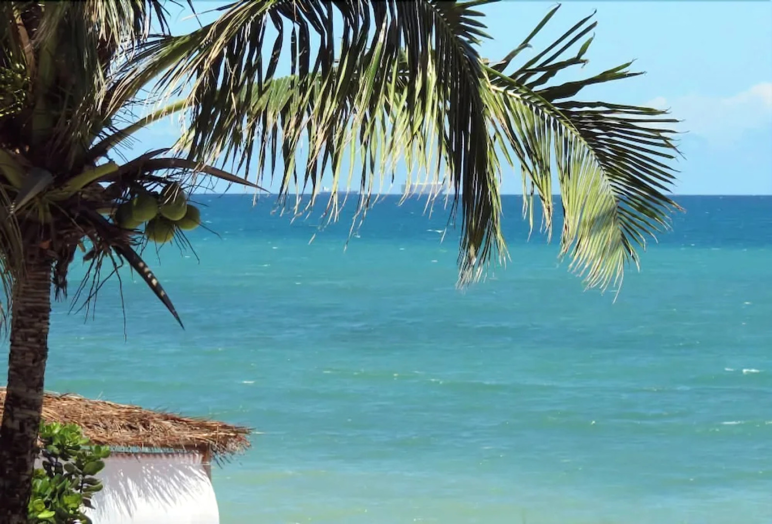 Alma Tropical Resort