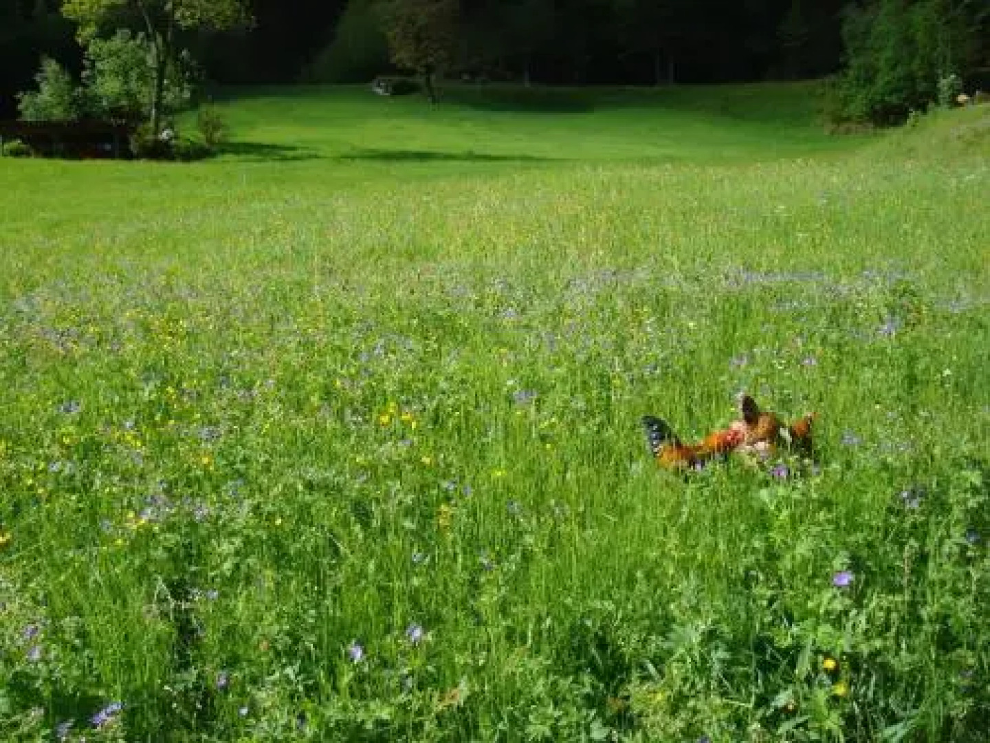 Casa Agriturismo Mattei