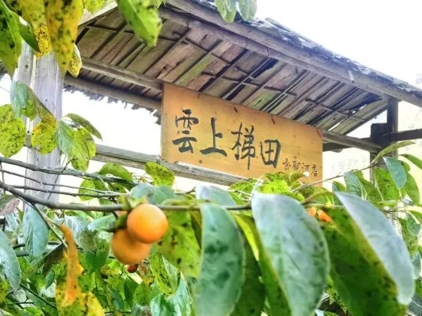 Jiabang Yunshang Terrace View Hotel